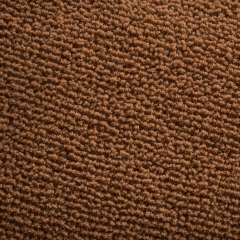 a richly textured carpet with visibly ground-in dirt and pet hair under soft, natural light, illustrating the urgent need for deep cleaning.