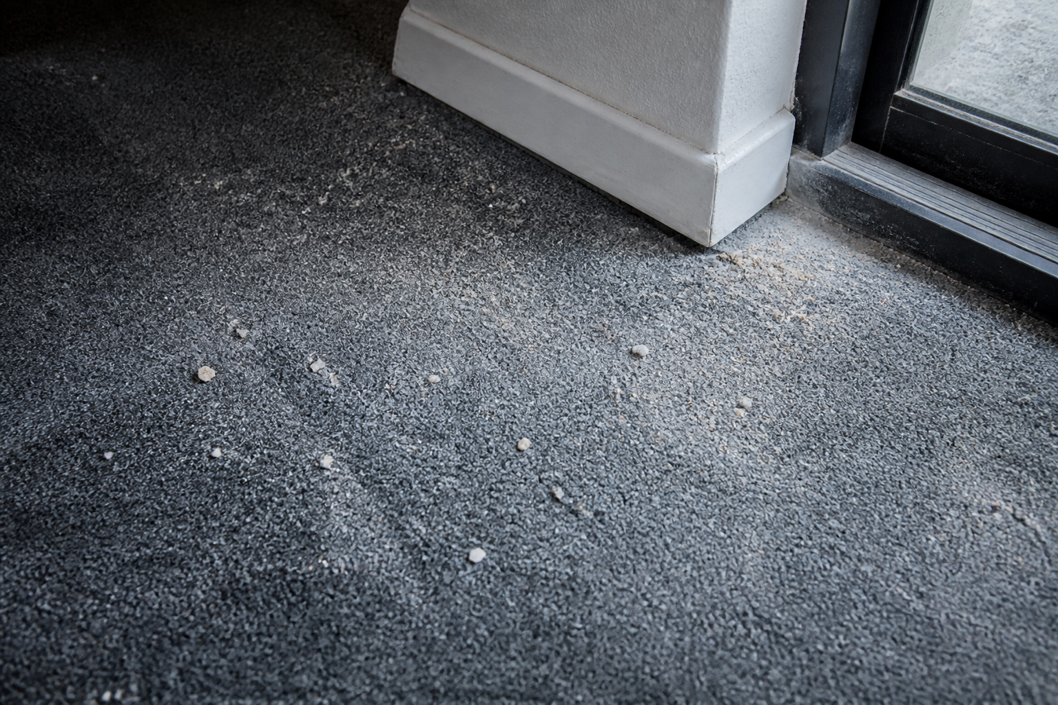 Construction dust in a Phoenix home remodeling zone with plastic sheeting on nearby carpet