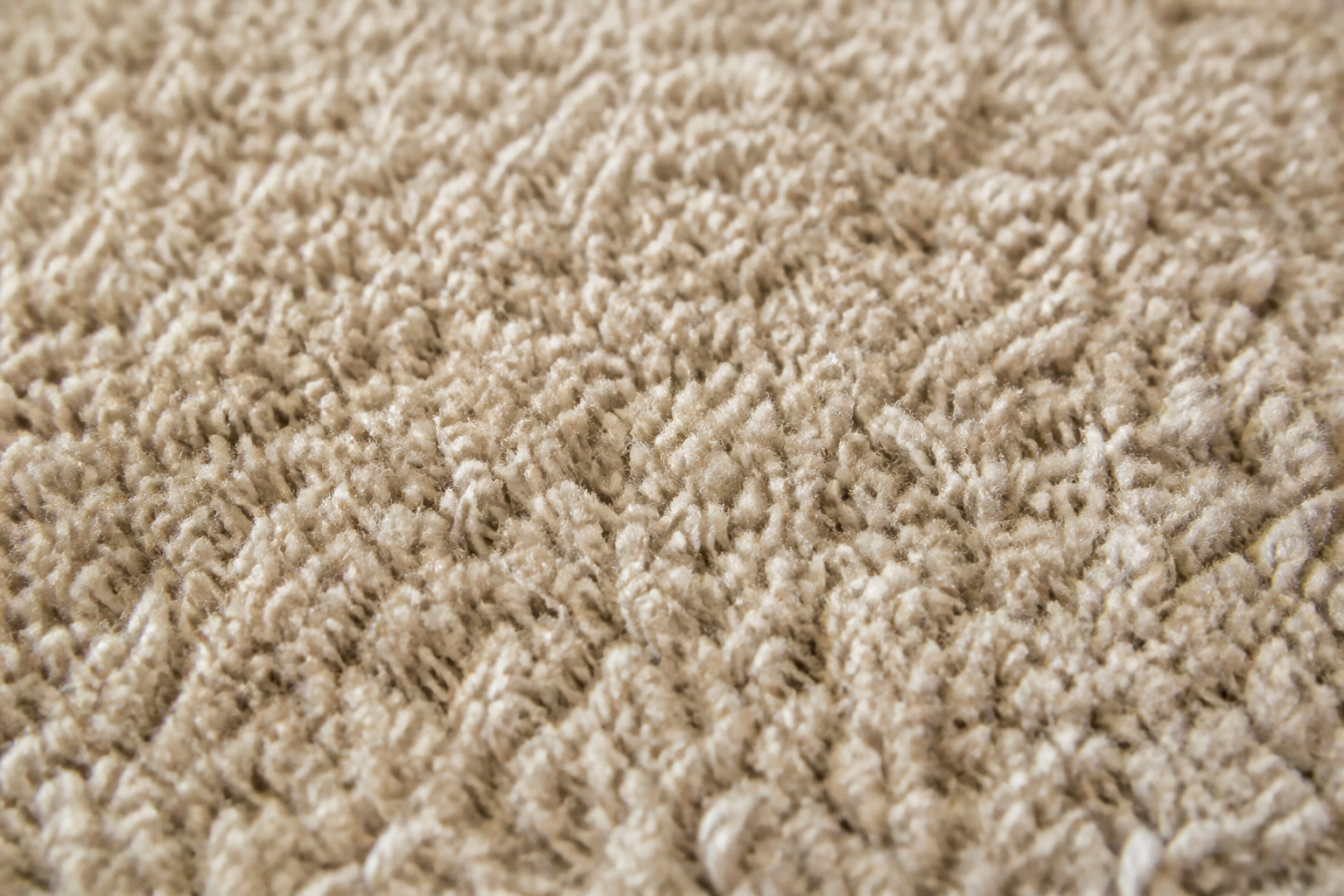 Close view of nylon carpet fibers in a Phoenix living room
