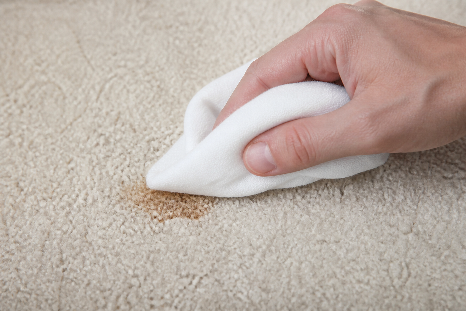 Blotting a spill on light carpet with a white cloth